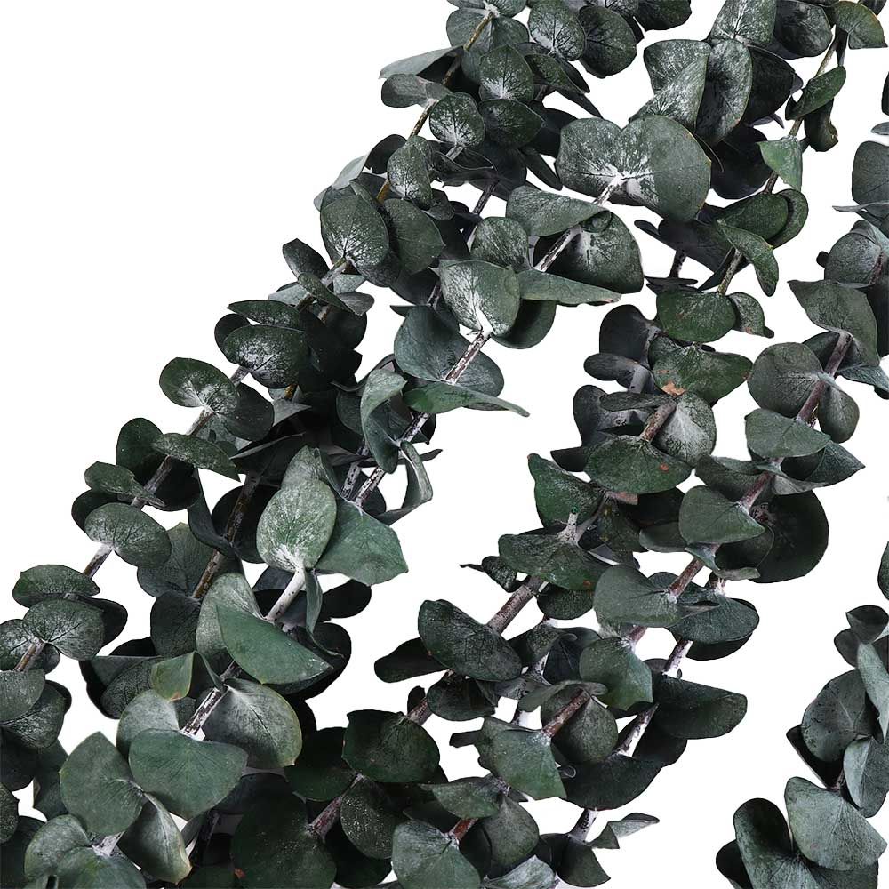 10개입 진짜 나뭇잎 걸이형 건조 유칼립투스 대형 녹색 - Eucalyptus Preserved 리뷰 및 가격