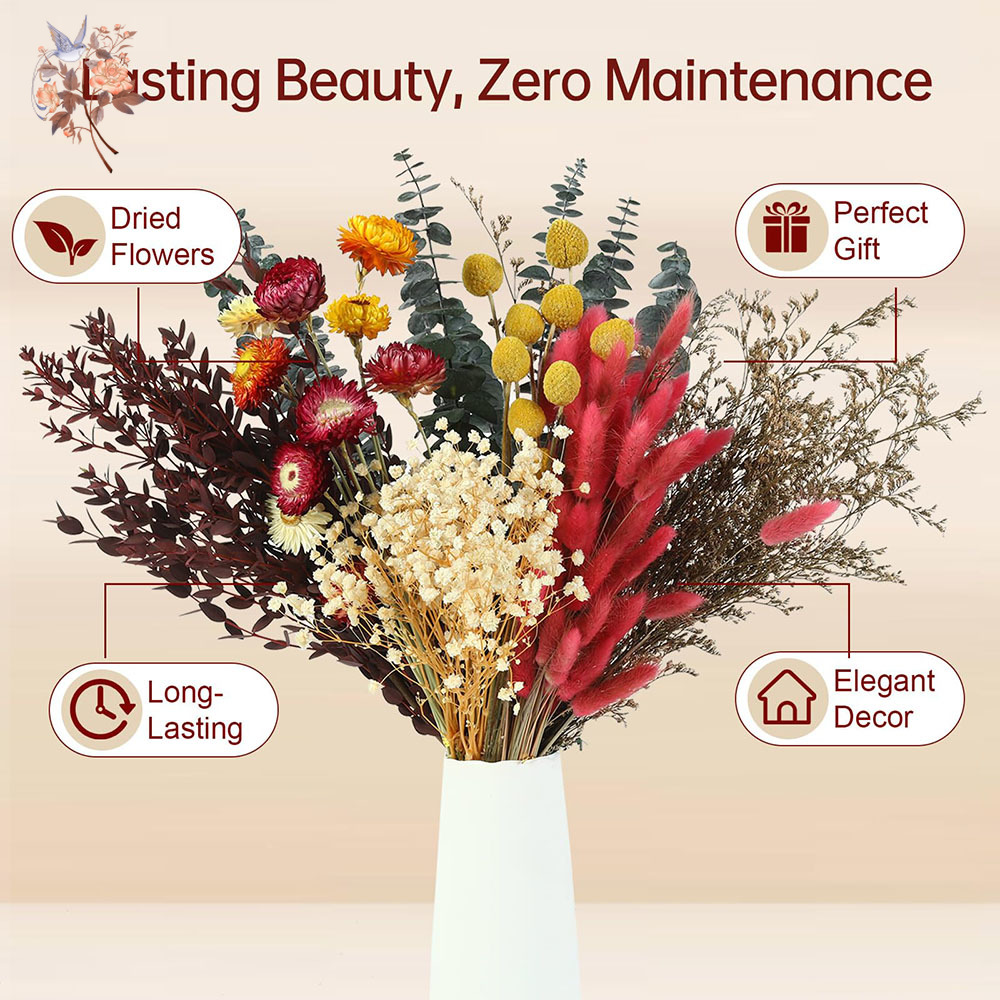 다양한 종류의 드라이 플라워 7종 세트, 자연스러운 유 - Florist Flower Supply 리뷰 및 가격