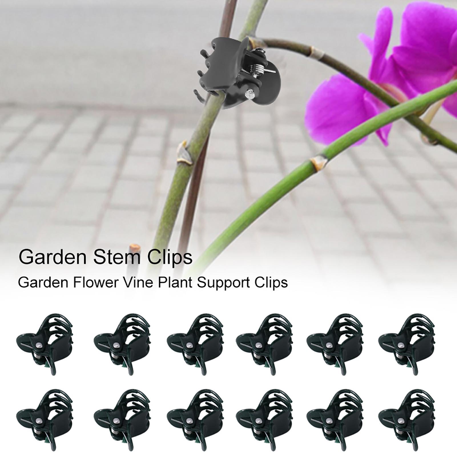 미니 식물 클립 정원 꽃 식물 지지대, 난초 데이지 줄 - Florist Supply Bulk 리뷰 및 가격