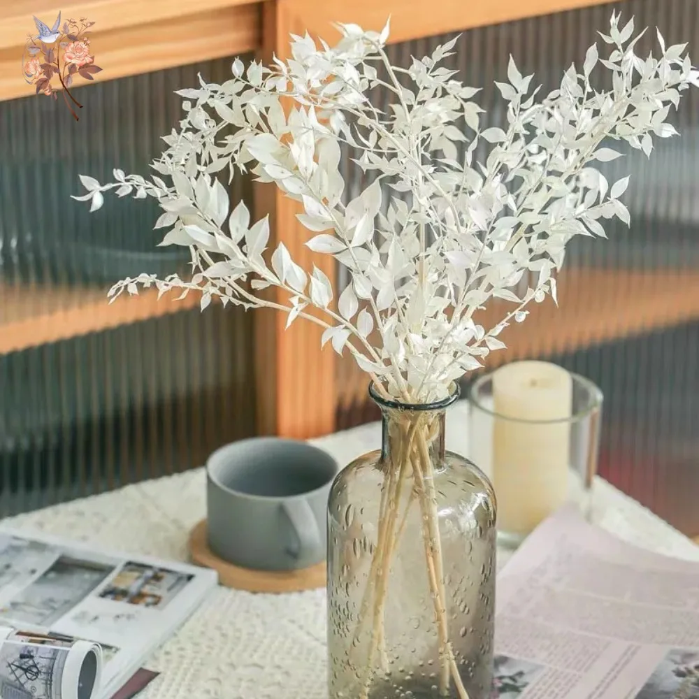 50g 인공 건조 꽃 루스커스 유칼립투스 잎 꽃다발 홈 - Eucalyptus Preserved 리뷰 및 가격
