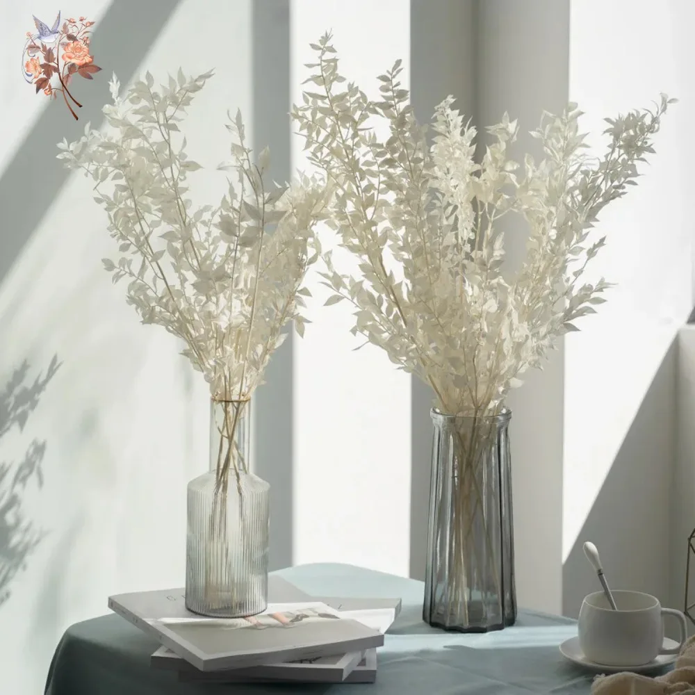 50g 인공 건조 꽃 루스커스 유칼립투스 잎 꽃다발 홈 - Eucalyptus Preserved 리뷰 및 가격